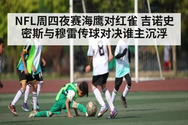 NFL周四夜赛海鹰对红雀 吉诺史密斯与穆雷传球对决谁主沉浮 - com
